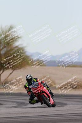 media/Nov-30-2025-TrackXperience (Sun) [[c0061d280f]]/2-Level 2/Session 6 Turn 4 Tree of Life/